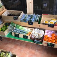 野菜と果物のお店　ＦＵＪＩＫＡＷＡの画像3